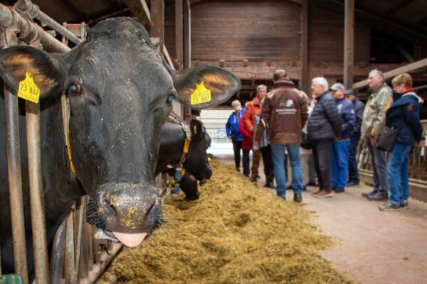 Demenz-Alzheimer-Minden-Biohof Kinkelbur_05