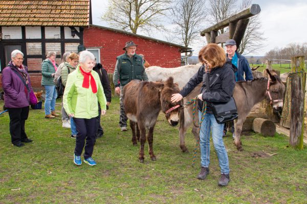LmD-Eselhof_8693