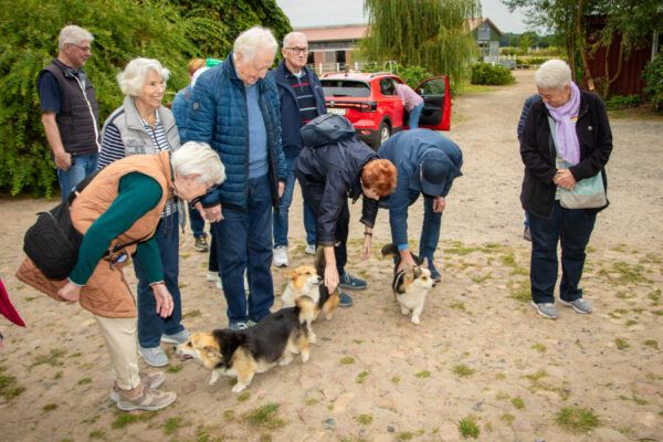 LmD-Westernranch_1691