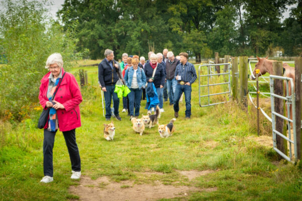 LmD-Westernranch_1788