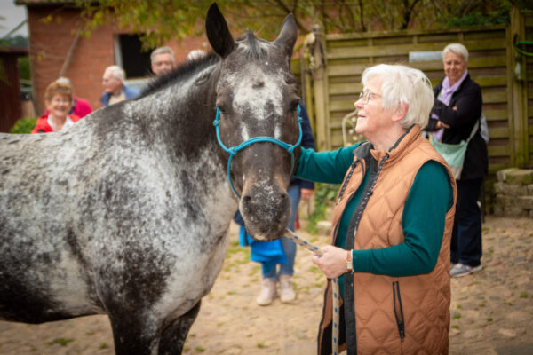 LmD-Westernranch_1807