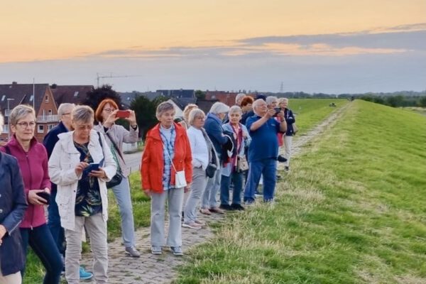 a4f154da-c617-41d4-97c6-a6254ac77ffb 2