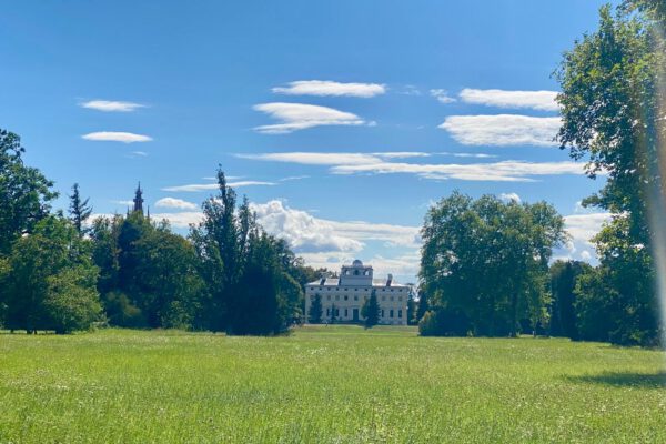 ec831222-ac73-4a05-9016-40ec0d8439ee